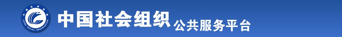 啊啊啊好爽视频全国社会组织信息查询